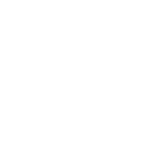 Icon of a plane